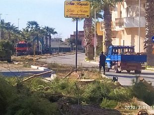 mazara-questioni-alberi-via-mons-c-trapani-e-ponte-ciclopedonale-sul-mazaro