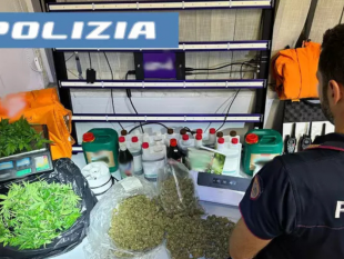 padre-e-figlio-arrestati-con-tre-chili-di-marijuana-nella-loro-abitazione