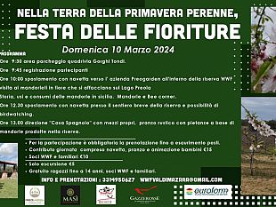mazara-tutto-pronto-per-levento-nella-terra-della-primavera-perenne-festa-della-fioritura