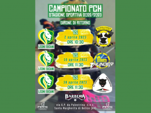 lhockey-su-carrozzina-torna-nella-citta-del-gattopardo