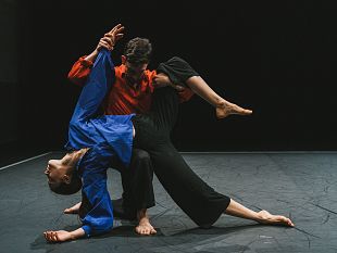 sonate-bach-di-fronte-al-dolore-degli-altri-a-segesta-la-danza-di-virgilio-sieni-contro-la-guerra