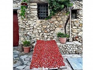 mazara-contest-la-foto-della-settimana-ecco-lo-scatto-vincente-20