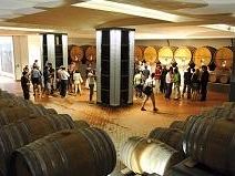 marsala-si-presenta-il-calendario-della-solidarieta-2015-e-non-solo-alle-cantine-pellegrino