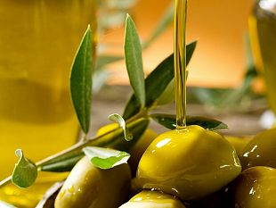 montevago-pubblicata-manifestazione-dinteresse-per-la-raccolta-di-olive-di-proprieta-del-comune