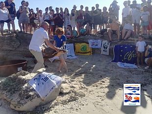 rilasciate-in-mare-nel-fine-settimana-due-pazienti-del-centro-di-primo-soccorso-per-tartarughe-marine-dellarea-marina-protetta-isole-egadi