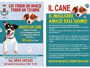 castellammare-adottando-un-cane-la-tassa-sui-rifiuti-sara-sensibilmente-ridotta