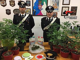 marsala-carabinieri-in-azione-un-arresto-per-coltivazione-di-marijuana