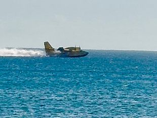 incendio-in-zonda-trinita-di-delia-in-azione-anche-elicotteri-e-canadair