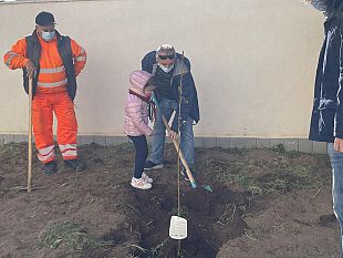 pantelleria-giornata-degli-alberi-2021-piantati-5-alberi-da-frutto-alla-scuol