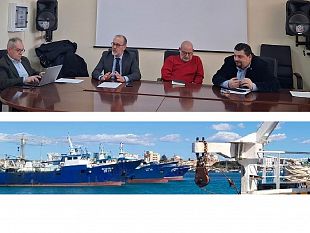 crisi-pesca-incontro-in-assessorato-regionale-con-le-organizzazioni-cooperative-e-datoriali