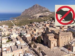 custonaci-al-via-primo-intervento-di-derattizzazione