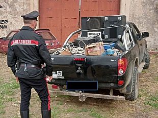 trapani/weekend-risse-e-feste-abusive-denunciate-7-persone-dai-carabinieri