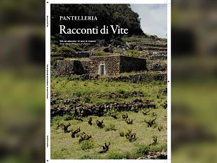 a-milano-la-presentazione-della-monografia-dedicata-alla-vite-ad-alberello-di-pantelleria