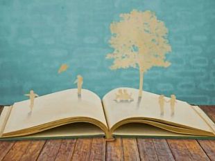 ultime-della-sera-le-storie-la-storia