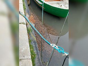 ancora-scarti-della-lavorazione-del-gambero-gettati-nel-fiume-mazaro