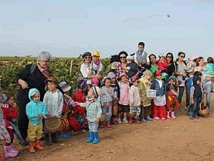 mazara-i-bambini-del-sacro-cuore-vanno-a-vendemmiare-contadini-per-un-giorno