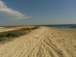 mazara-fare-ambiente-evidenzia-il-significato-della-manifestazione-salviamo-capo-feto