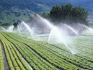 un-comitato-di-agricoltori-castelvetranesi-si-riuniscono-per-dire-no-agli-aumenti-del-300-dei-canoni-irrigazione