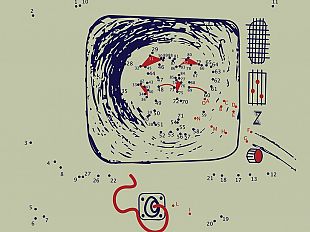 nuovo-numero-de-l-insonne-sabato-la-presentazione-a-marsala