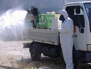 buseto-palizzolo-al-via-interventi-contro-blatte-e-altri-insetti