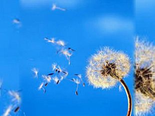 ultime-della-sera-forma-azione-verso-forma-sense