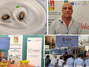 mazara/presentato-il-progetto-haliotis-sicilia-nel-corso-dellevento-blue-sea-land