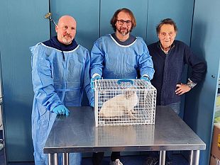 avviato-progetto-di-sterilizzazione-dei-gatti-randagi-sullisola-di-marettimo