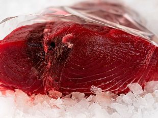 tonno-rosso-lasp-di-trapani-avvia-la-campagna-per-il-consumo-sicuro-e-contro-listamina-cee