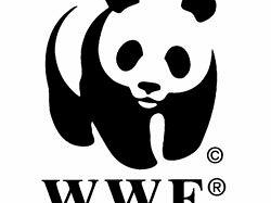 wwf-tra-castelli-torri-e-piazze-oltre-300-gli-spegnimenti-previsti-per-l-ora-di-buio-globale
