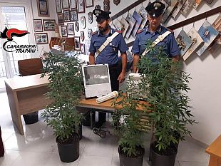 mazara-i-carabinieri-scoprono-una-serra-alimentata-con-allaccio-abusivo-alla-rete-elettrica-due-fratelli-in-manette