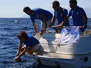 il-centro-di-primo-soccorso-per-tartarughe-marine-dell-amp-isole-egadi-rilascia-in-mare-hydra
