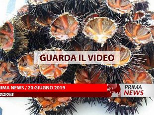 prima-news-20-giugno-seconda-edizione