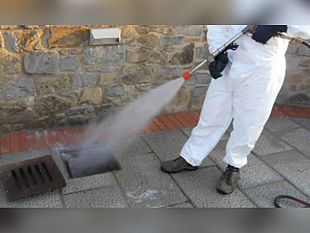 paceco-previsti-per-domani-interventi-di-disinfestazione