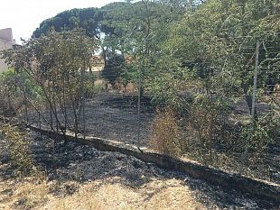 pd-partanna-promessa-non-mantenuta-del-sindaco-sul-verde-pubblico-e-decoro