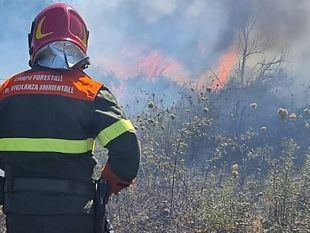 incendi-in-sicilia-3757-roghi-tra-maggio-e-luglio-31mila-ettari-distrutti