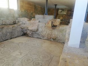 ultime-della-sera-turista-nella-mia-citta