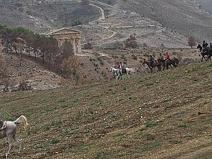 parco-archeologico-di-segesta-successo-per-la-ii-edizione-del-raduno-equestre
