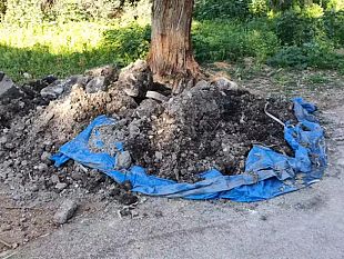 pizzolungo-strade-trasformate-in-discariche-interviene-il-consigliere-maltese