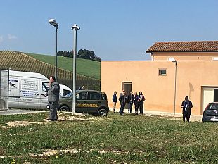 salemi-sgravi-tari-per-chi-adotta-un-cane-randagio