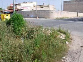 la-polizia-scopre-cannabis-coltivata-all-incrocio-fra-vie-bessarione-e-del-carabiniere