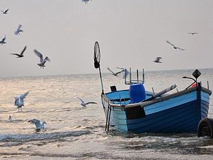 grande-interesse-a-bruxelles-per-un-progetto-del-distretto-della-pesca