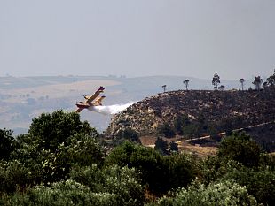 incendio-nella-zona-del-lago-delia-interviene-il-canadair
