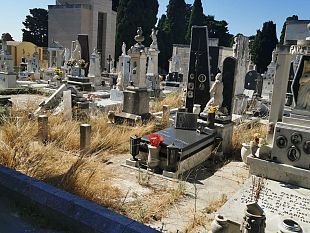 il-lettore-segnala-un-luogo-sacro-come-il-cimitero-con-erbacce-ad-altezza-duomo