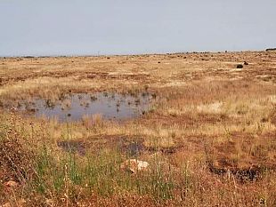 problemi-idrici-a-borgata-costiera-lassessore-reina-riparato-il-guasto
