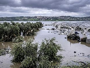 ciclone-harry-via-libera-ai-ristori-aiuti-in-arrivo-per-le-aziende-agricole-siciliane
