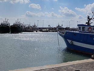 mazara-dopo-il-maltempo-i-pescherecci-tornano-a-pescare-con-quali-prospettive