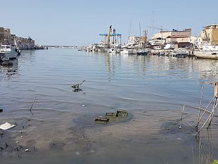 mazara-il-duemila-doppia-soluzione-per-il-dragaggio-del-fiume-mazaro