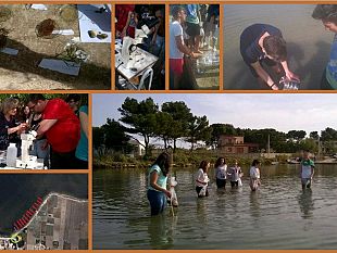 liceo-ruggieri-laboratorio-di-scienze-al-mare