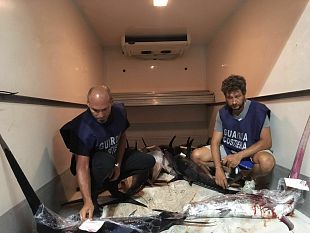 sequestrati-oltre-500-kg-di-prodotti-ittici