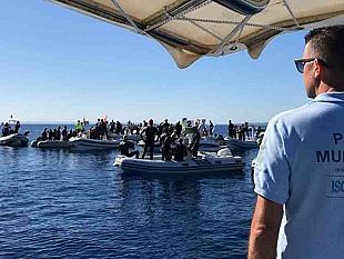 un-successo-la-quinta-edizione-della-egadi-swim-race-traversata-a-nuoto-da-levanzo-a-favignana